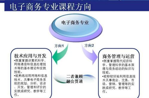 和电子商务有关考研专业