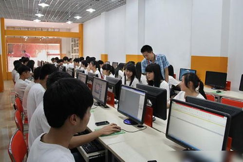 考编制电子商务专业难吗