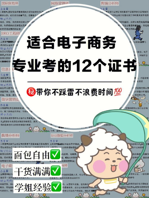 电子商务专业单招怎么考