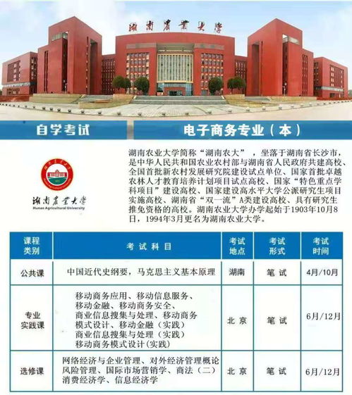 新疆电子商务升本的专业
