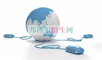 电子商务专业分为哪几种