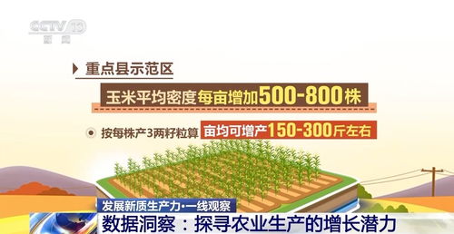 三夏里的新质生产力